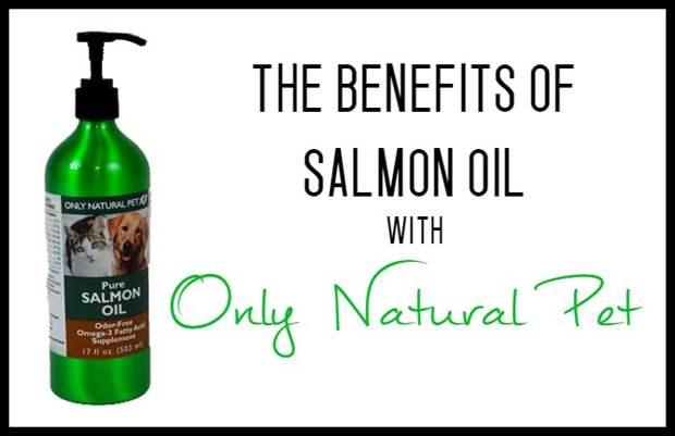 Salmon oil has many benefits for dogs. Only Natural Pet has a high quality affordable option to improve your dog's health.