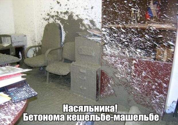 Картинки, юмор, приколы