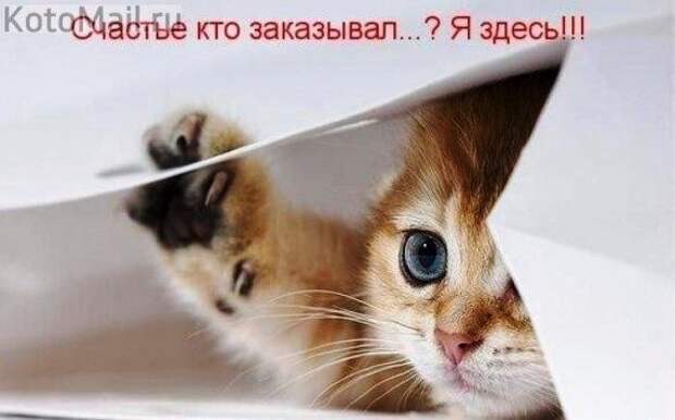 Просто приколы