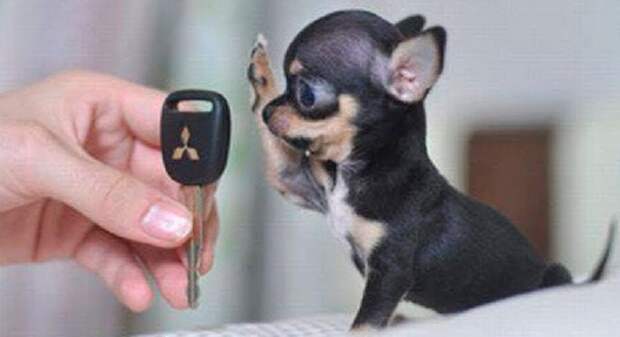 Спасение под НГ!