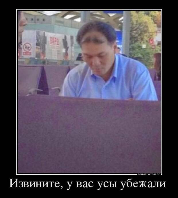 Демотиваторы демотиваторы, прикол, смех, юмор