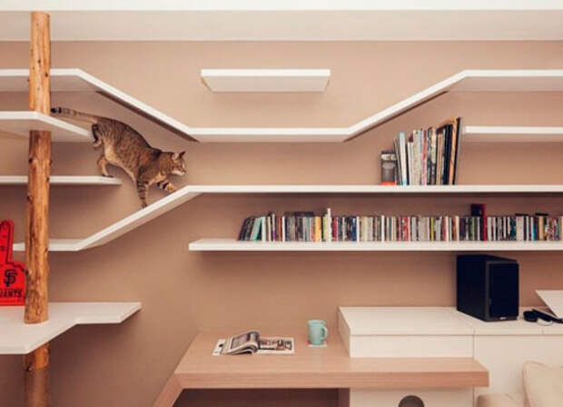 Домик для кошки своими руками из книжных полок