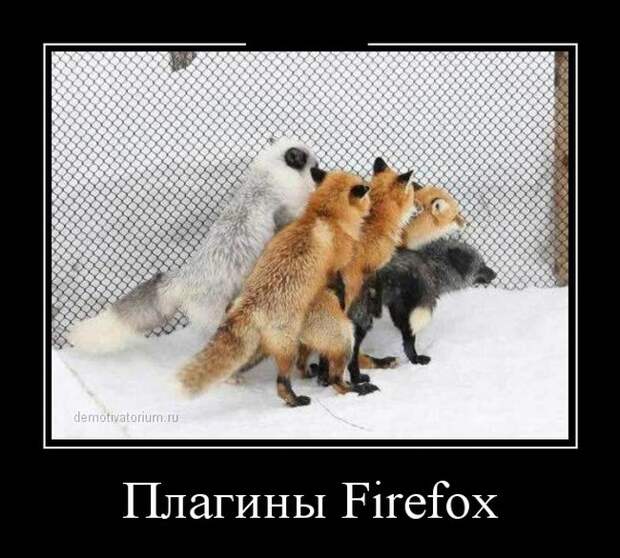 Демотиваторы демотиваторы, картинки, приколы