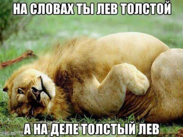 Смотрим прикольные картинки Смотрим прикольные картинки