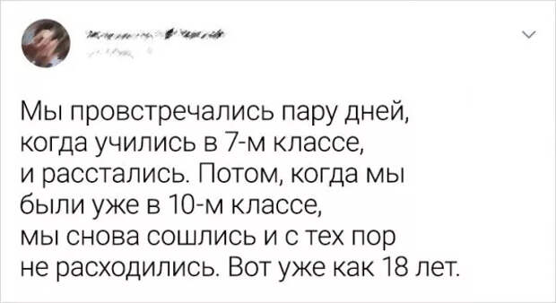Подборка забавных твитов