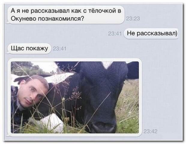Прикольные комментарии и переписки Прикольные комментарии и переписки