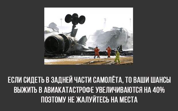 8 интересных фактов 8 интересных фактов полезное, факты