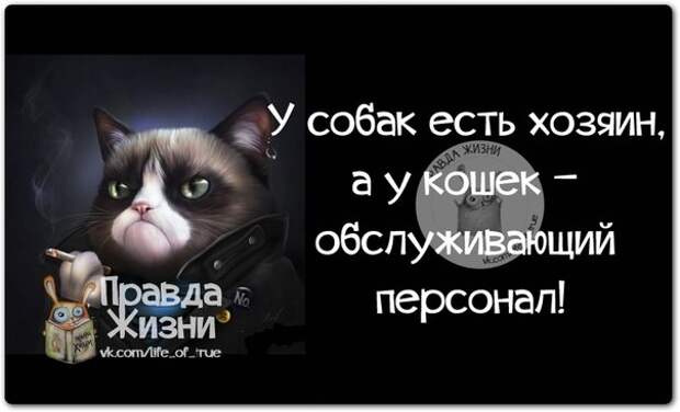 Позитивные фразочки в картинках Позитивные фразочки в картинках