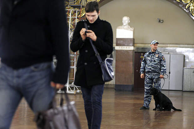 «Тревога заглушает голос разума»