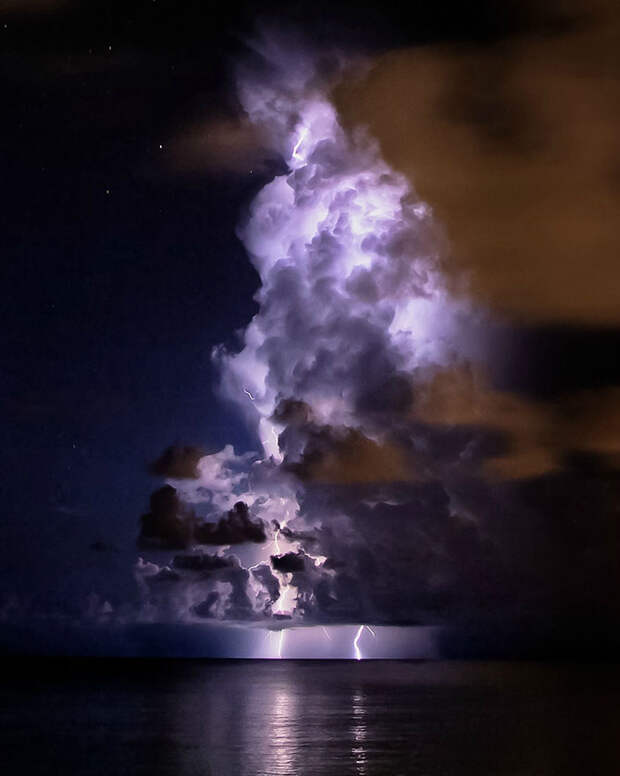 60 лучших фотографий года по версии журнала TwistedSifter