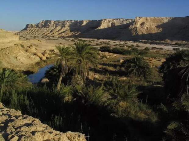 10. Этот оазис скрыт в глубине пустыни Омана, Аравийский полуостров.