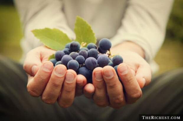 Сумасшедшие суеверия со всего мира Сумасшедшие суеверия со всего мира