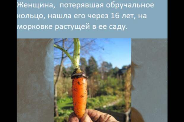 Интересные факты из жизни, которые возможно вас удивят! интересно, факты