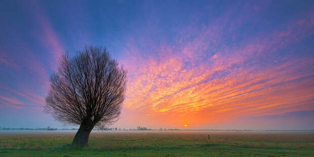 here_comes_the_sun_by_danielheydecke-d620xau (700x350, 288Kb)
