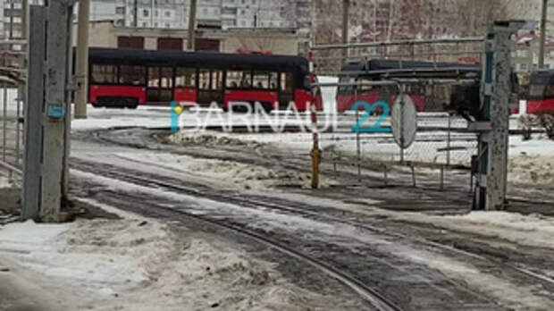 Фото: Barnaul 22