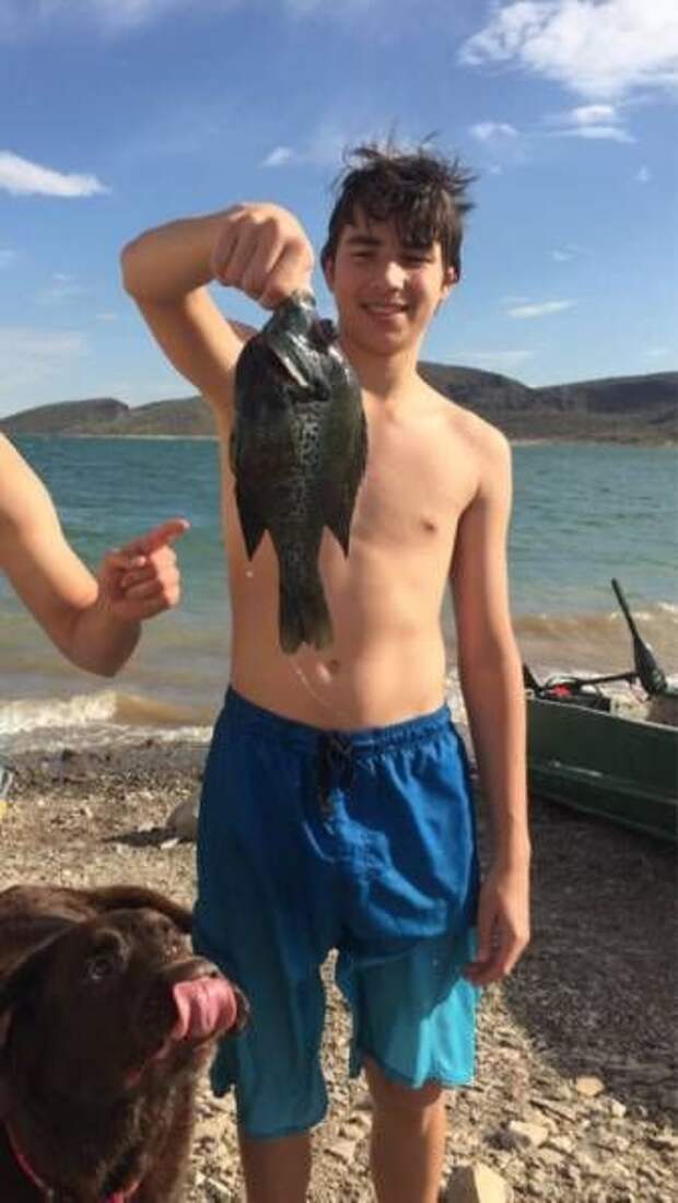 Прикольные картинки (90 фото) Прикольные картинки (90 фото)