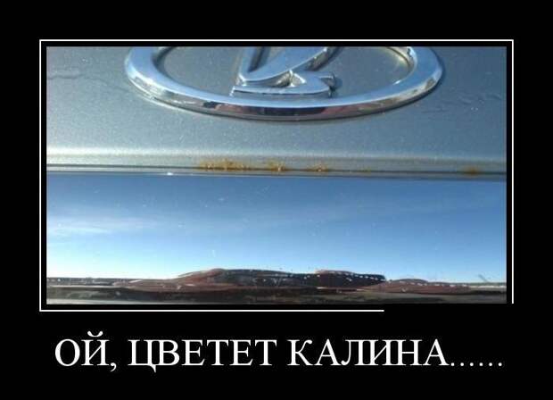 Демотиваторы (30 фото)