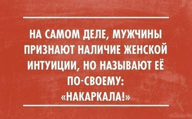 Подборка приколов подборка, прикол, хохма, юмор
