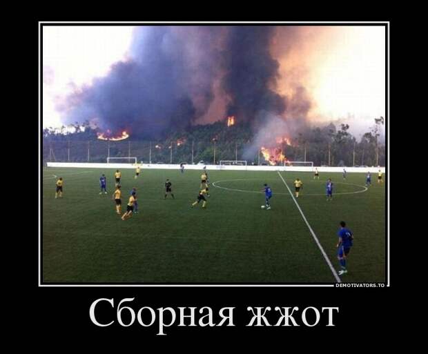 Демотиваторы (51 фото) 