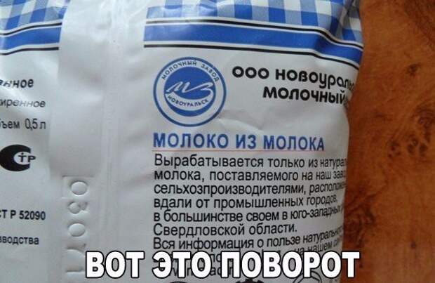 Смешные картинки с надписями видео, прикол