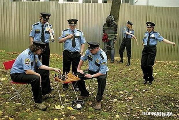 Фотоприколы смешные статусы в картинках.