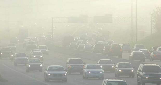 Екатеринбург покрылся смогом из-за тлеющих торфяников