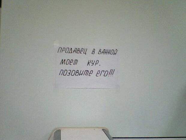 Прикольные картинки (73)
