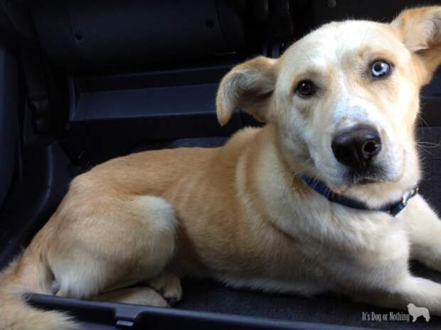 Kaeto's "Gotcha" picture. In our car and leaving the shelter!