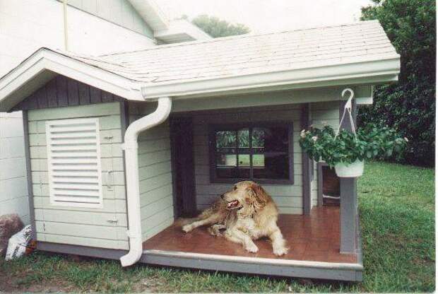 Будка для собаки Работа в саду. Как самому построить дачный дом.