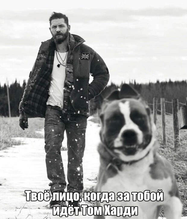 Прикольные картинки картинки, фото, юмор