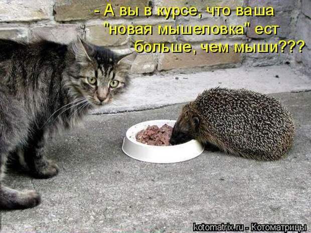 Мысли вслух :)
