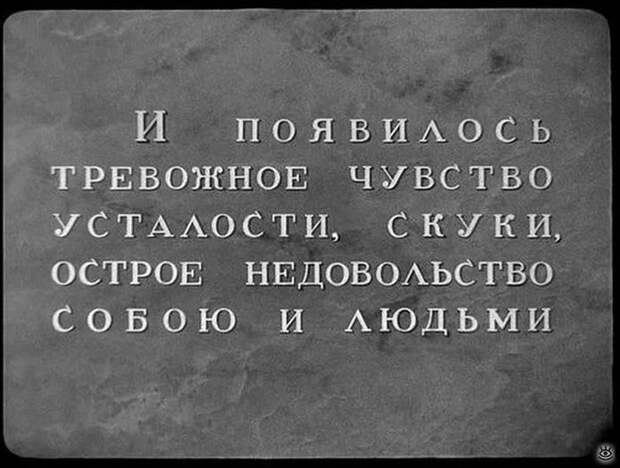 Комичные курьёзы из повседневности 37