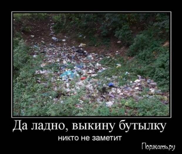 Димативаторы (21 фото)