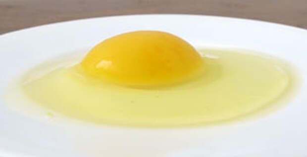 пример определения свежести яиц в домашних условиях