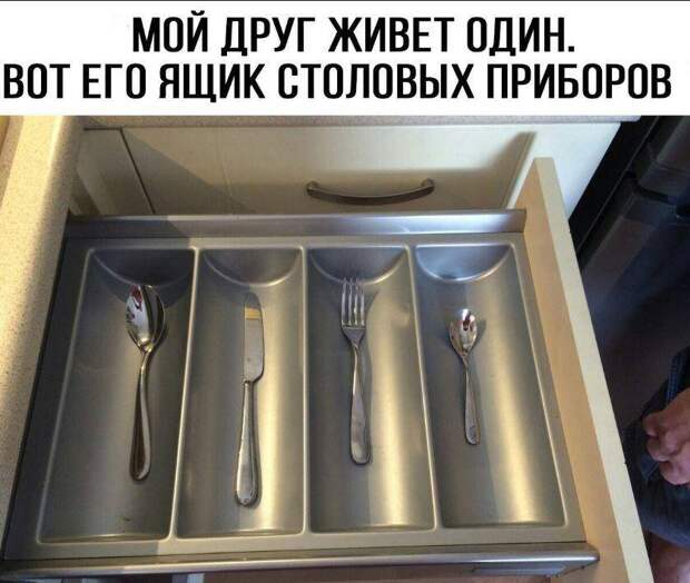 картинки приколы смешные (7)