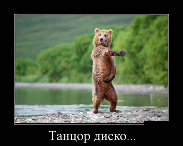 Демотиваторы (30 фото)