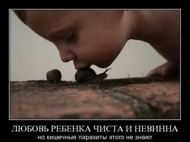 Серьезные и умные демотиваторы.