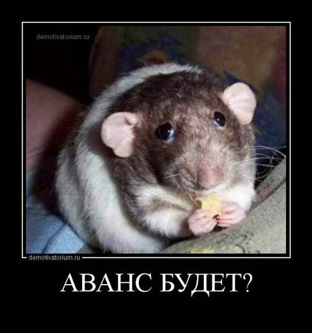 Демотиваторы демотиваторы
