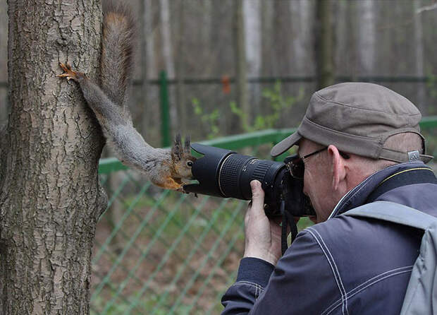 Безумные фотографы