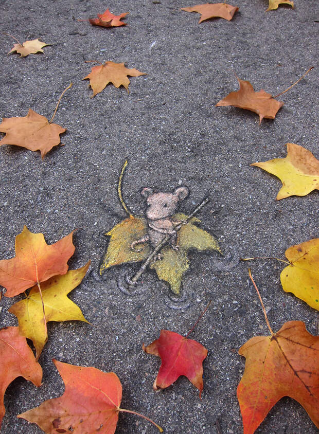 funny-street-art-mouse-sailing-leaf
