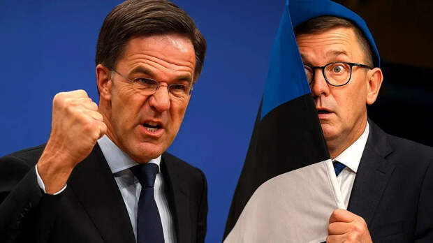 Генсек НАТО Рютте назвал США самой большой страной мира