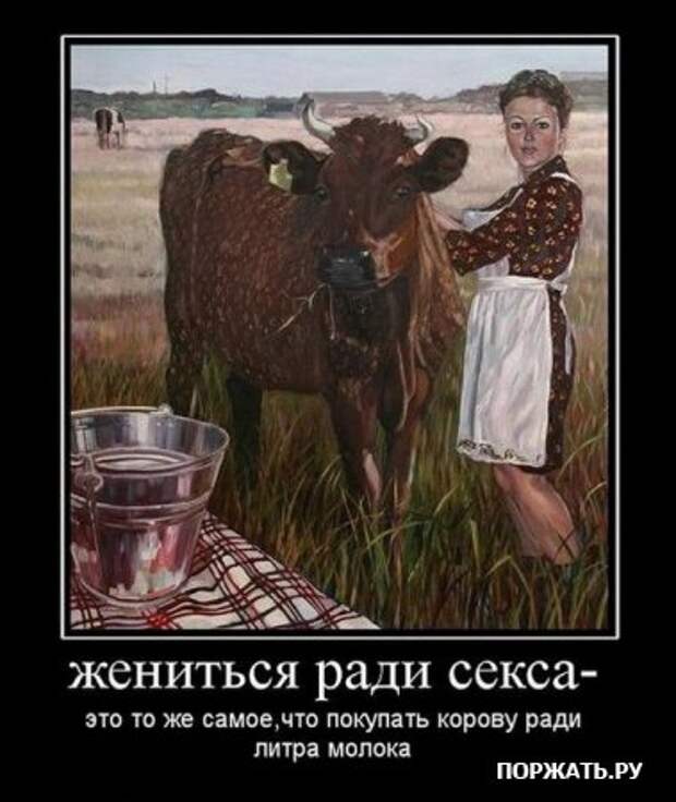 Демотиваторы, истории с приколом.