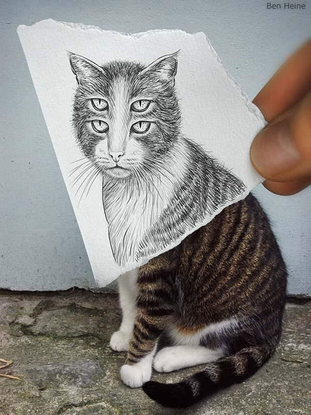 Фотокамера VS карандаш Бен Хейне (10)