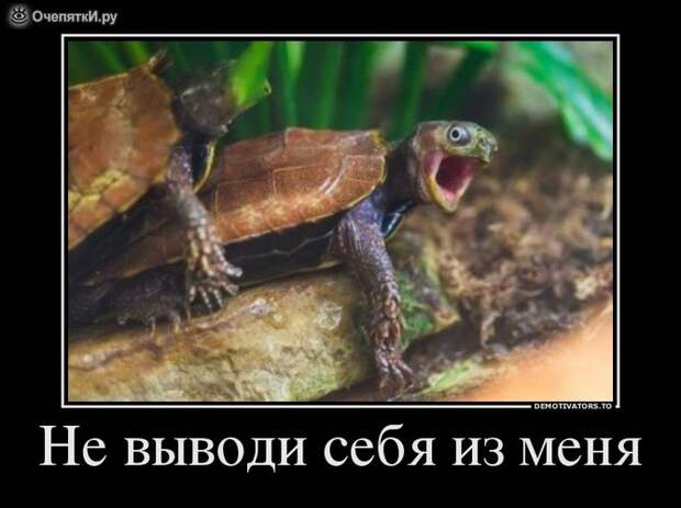 Дружба решает всё! 4
