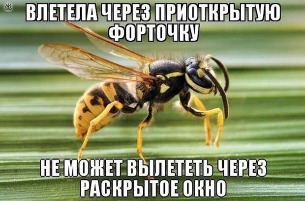 Повседневность в курьёзах 1