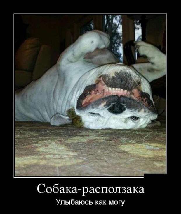 Классная демотивация Классная демотивация