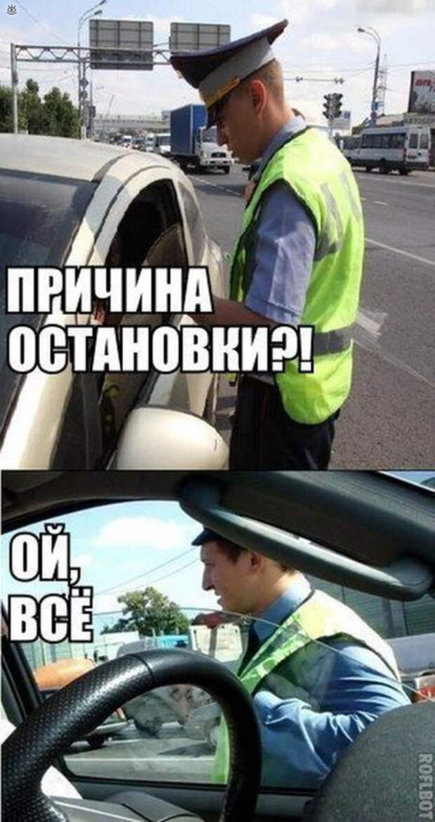 Самые разные курьёзы 10