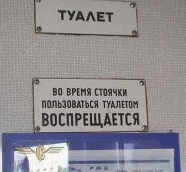 Фото приколы, что бы пятница удалась.