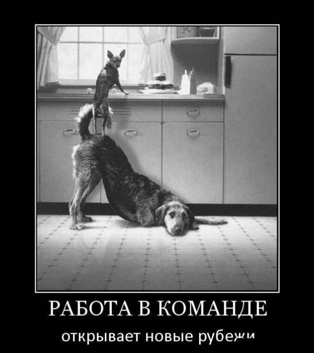 Демотиваторы на 01.03.11