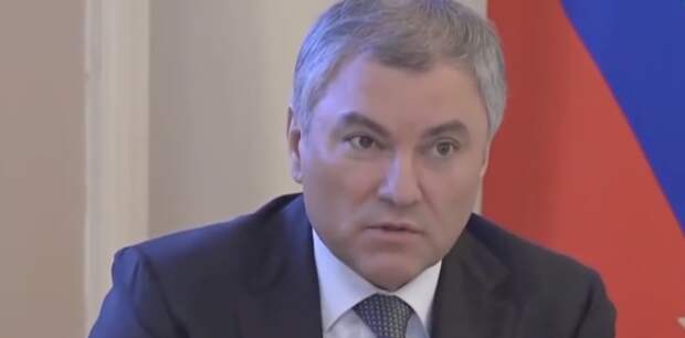 Володин счёл правильным ввести запрет «пропаганды нетрадиционных ценностей»